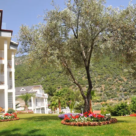 Morina Deluxe Ολουντενίζ